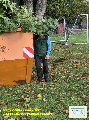 ein bild